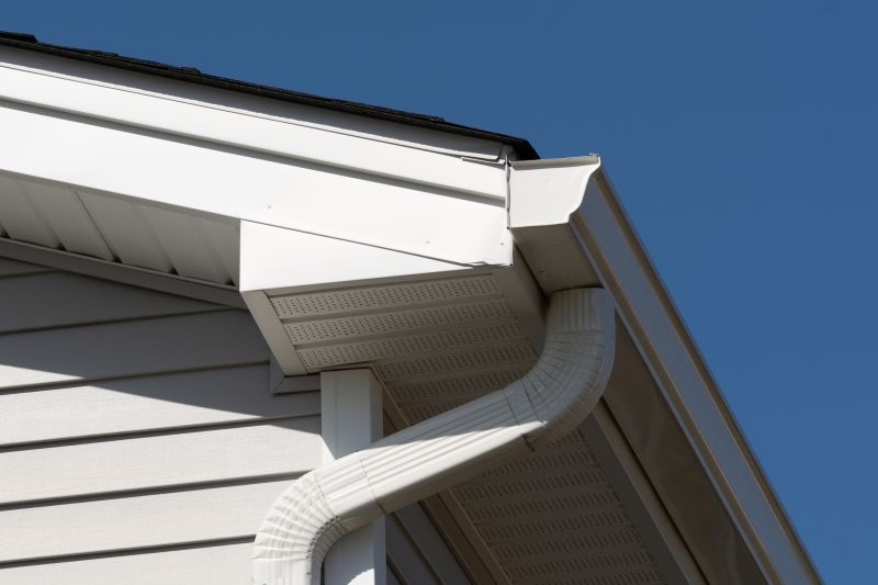 Garage Fascia Replacement in Conroe, TX